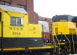 A study of the contrasting shades of yellow on two different models 